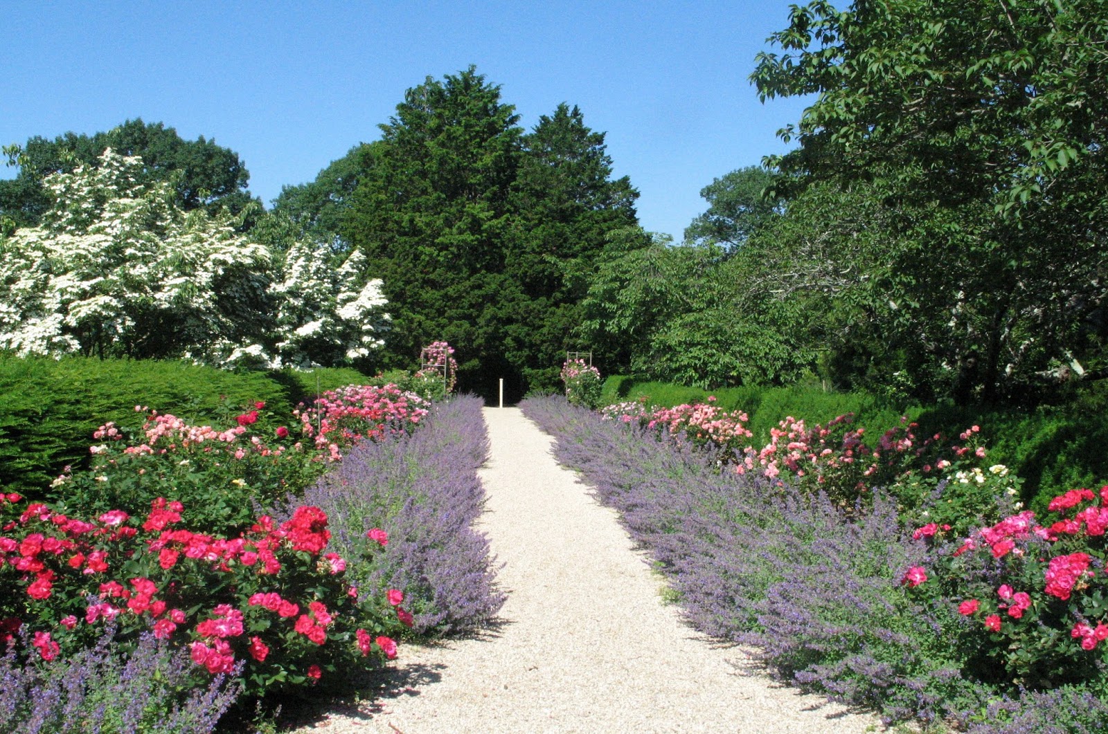 Idyll Haven: IU Converges on Planting Fields Arboretum and Old Westbury ...