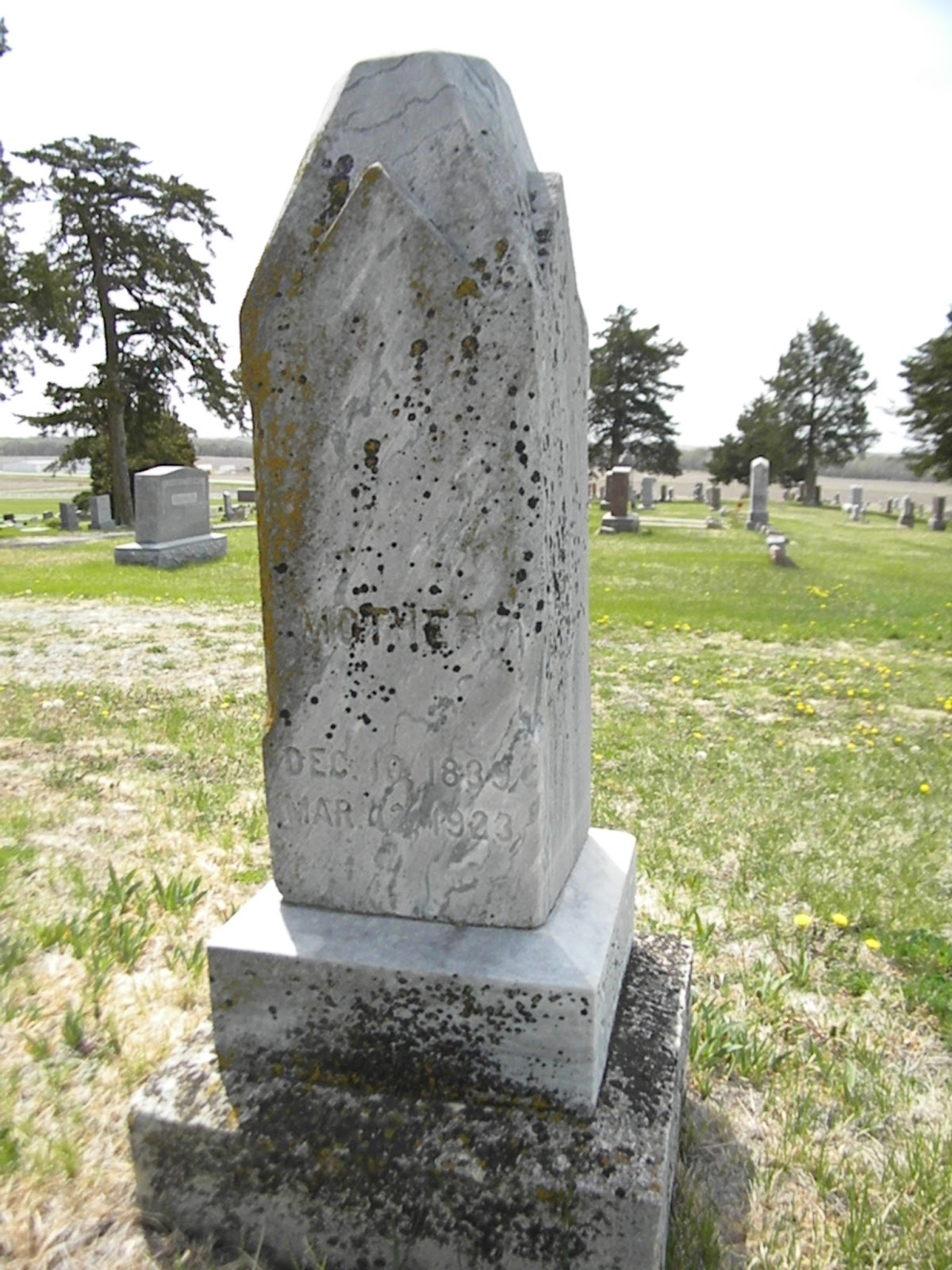 The Old Trunk in the Attic Roscoe's in Oak Grove Cemetery in DeWitt