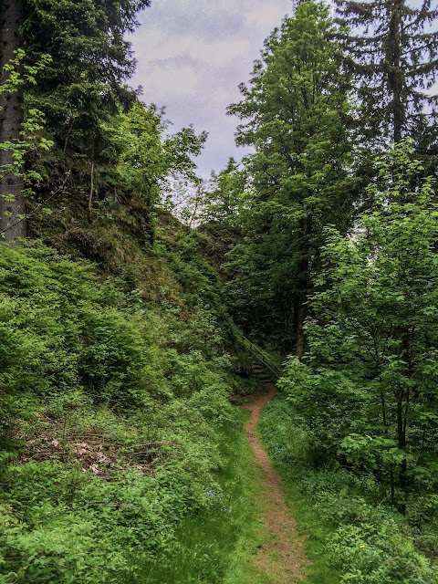 wanderung rund um den kickelhahn ilmenau goethe