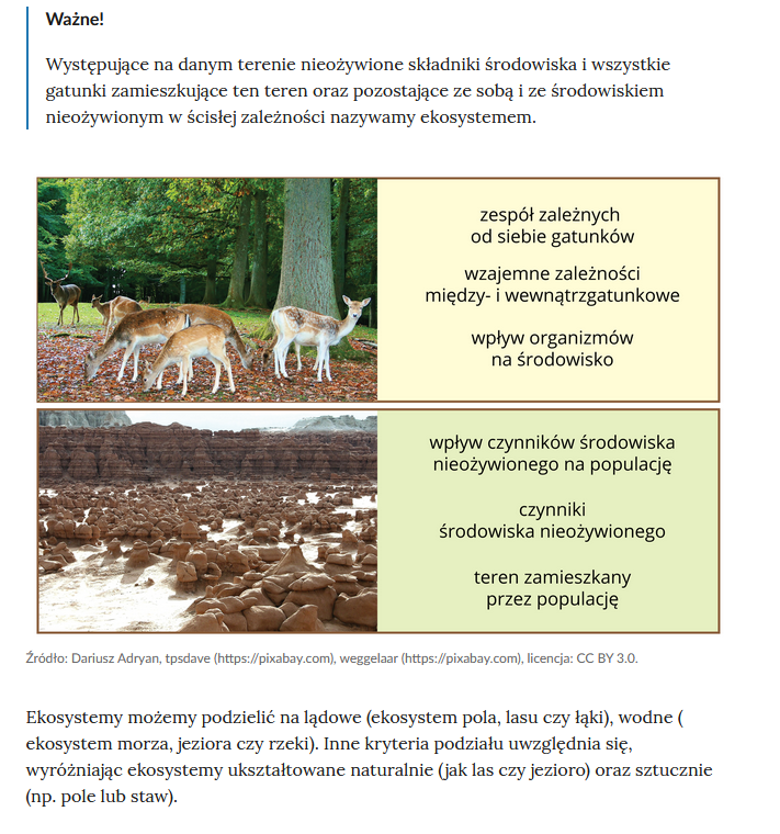 Pozytywne Znaczenie Płazów Dla Człowieka Klasa 8 A nauczanie indywidualne