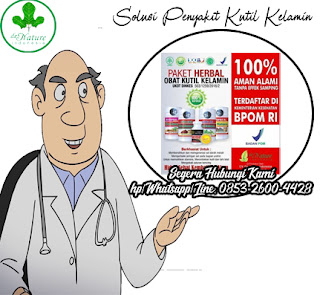 Obat Kutil Kelamin