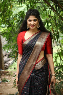 Roshini Prakash Saree Stills From Jada Movie Audio Launch
