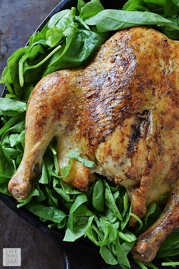 Whole Roasted Chicken with Vegetables SundaySupper Life Tastes Good