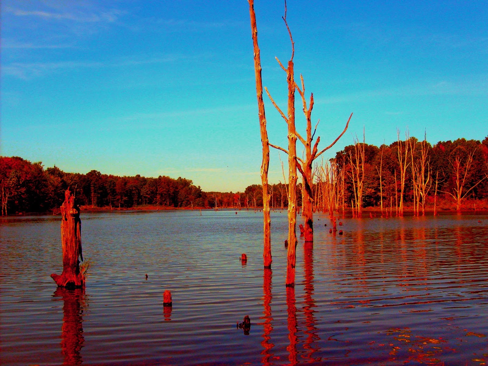 Big Oaks National Wildlife Refuge Madison Indiana