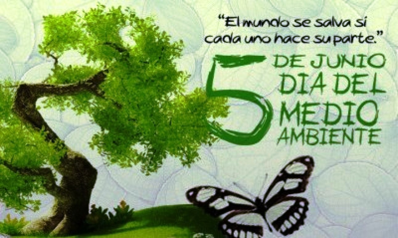 Día Mundial Del Medio Ambiente: Por Qué Se Celebra Cada 5 De Junio – LDEPE