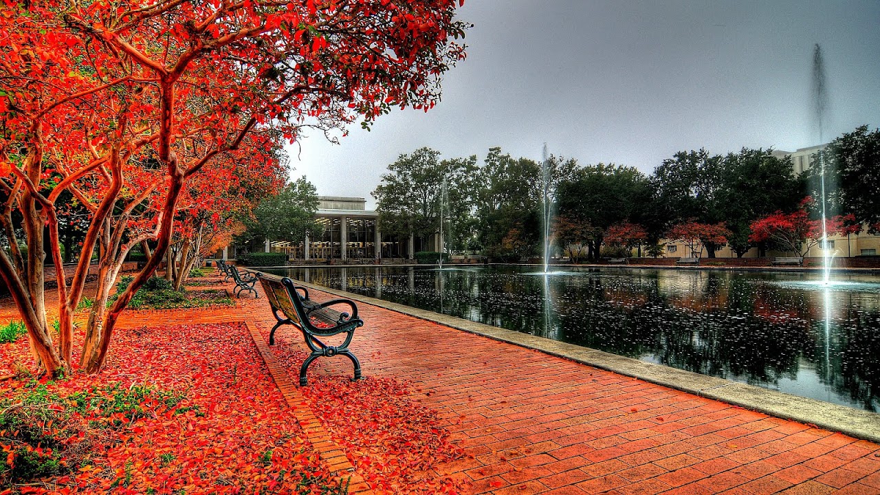 University Of South Carolina Business School Ranking School Choices