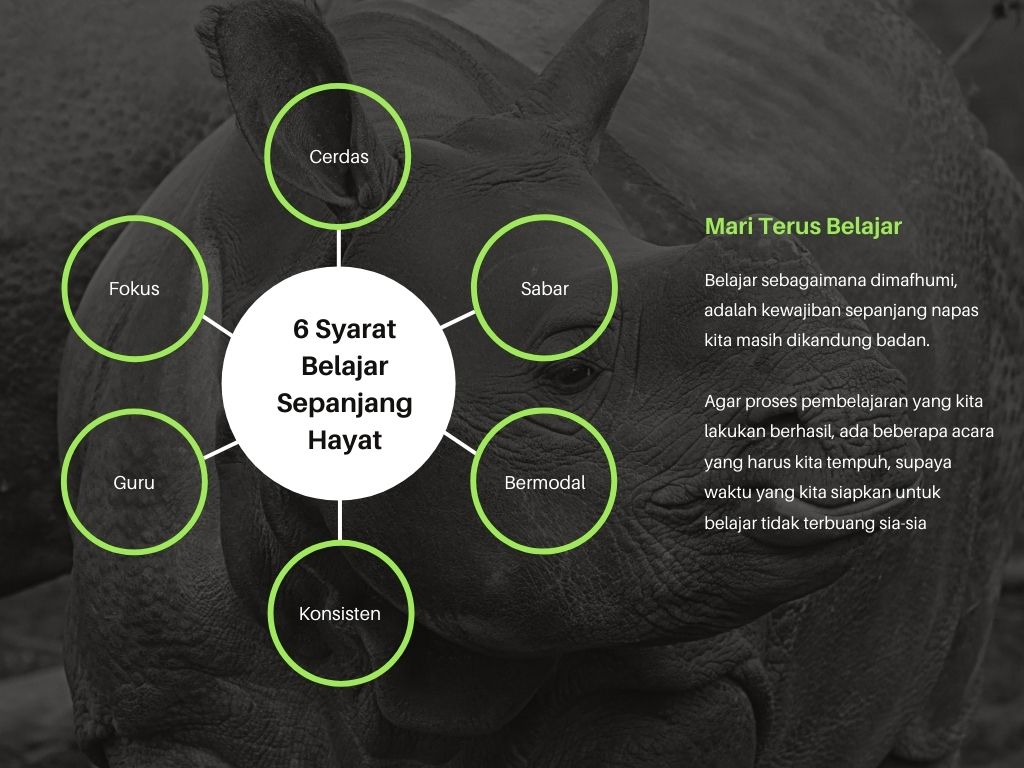 tips belajar sukses belajar