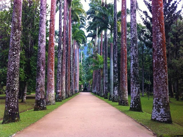 jardim botanico roteiro fim de semana no rj entrada jardim botanico rj
