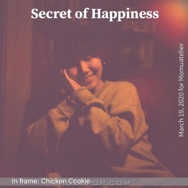 Chicken cookie – Secret of happiness – Single