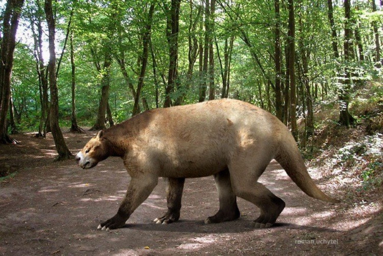 Крупнейших млекопитающих на земле. Доисторические животные. Удивительные древние животные. Самые доисторические животные. Доисторические животные млекопитающие.