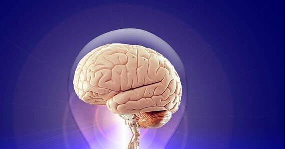 الدماغ دراسة تطور الخرف الجبهي الصدغي