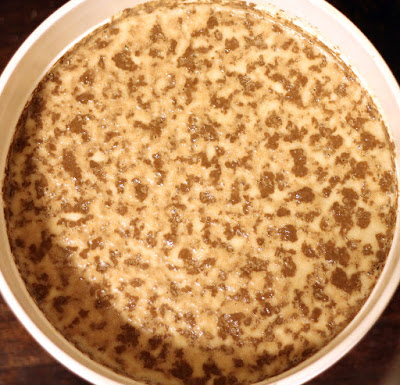 Saison Fermentation