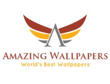 Amazing Wallpapers