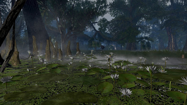 wooley swamp song wooley swamp song