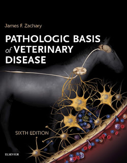 Pathologic Basis of Veterinary Disease 6th Edition