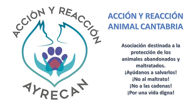 Acción y Reacción Animal Cantabria