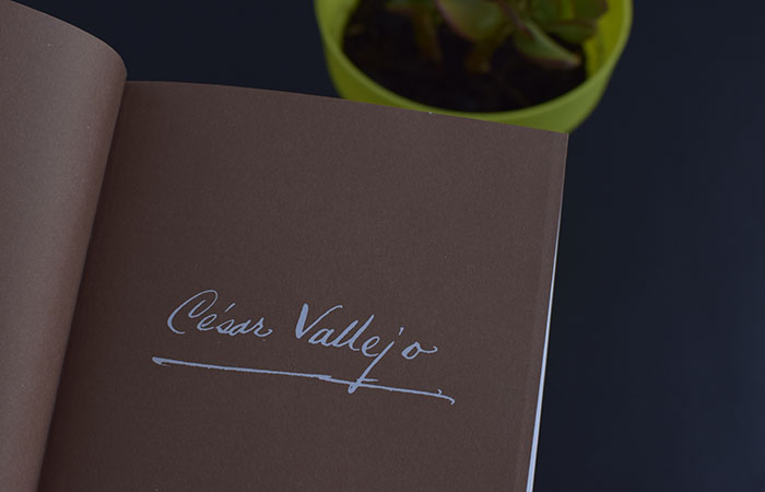 Bestia Lectora recomienda los «Poemas humanos», de César Vallejo (Galaxia Gutenberg) Bestia Lectora recomienda los «Poemas humanos», de César Vallejo (Galaxia Gutenberg)