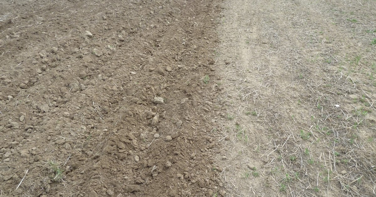 FARMING THE PALOUSE CONVENTIONAL TILLAGE & MOISTURE