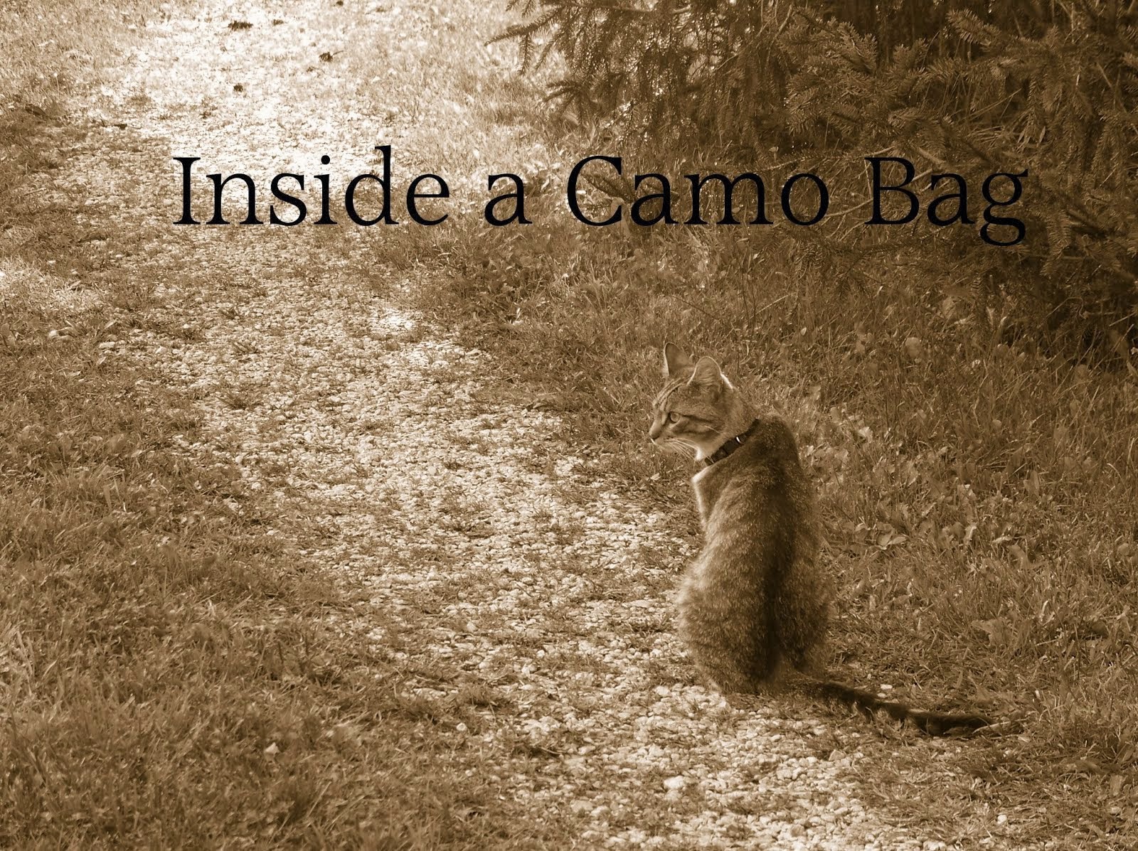 Inside a Camo Bag