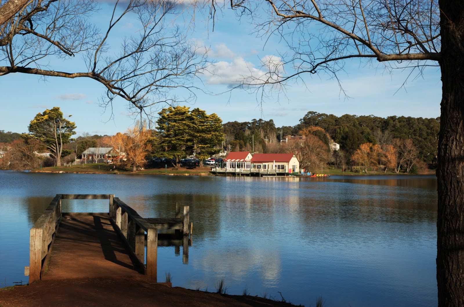 Ramiel Plantae Lake Daylesford