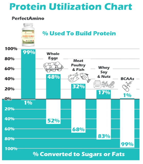 WORKOUT ANYTIME Fitness Blog Everything You Need to Know About Protein