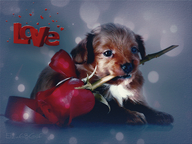 Love%2BAnimation.gif