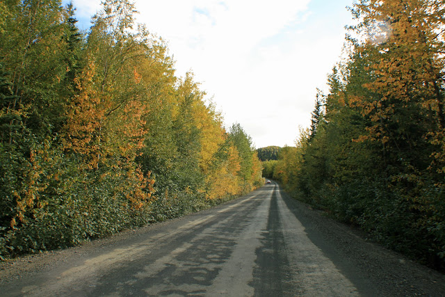 LA PENINSULA DE KENAI - LA ULTIMA FRONTERA. CRONICAS DE ALASKA (10)