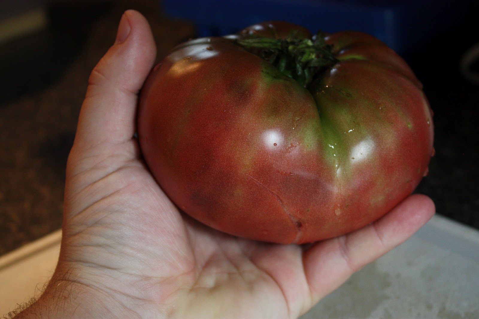Creating With The J's: How do your tomatoes grow?