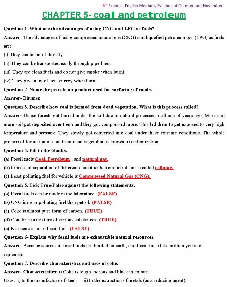 Coal and Petroleum Class 8