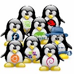 Linux Learning for Beginners
