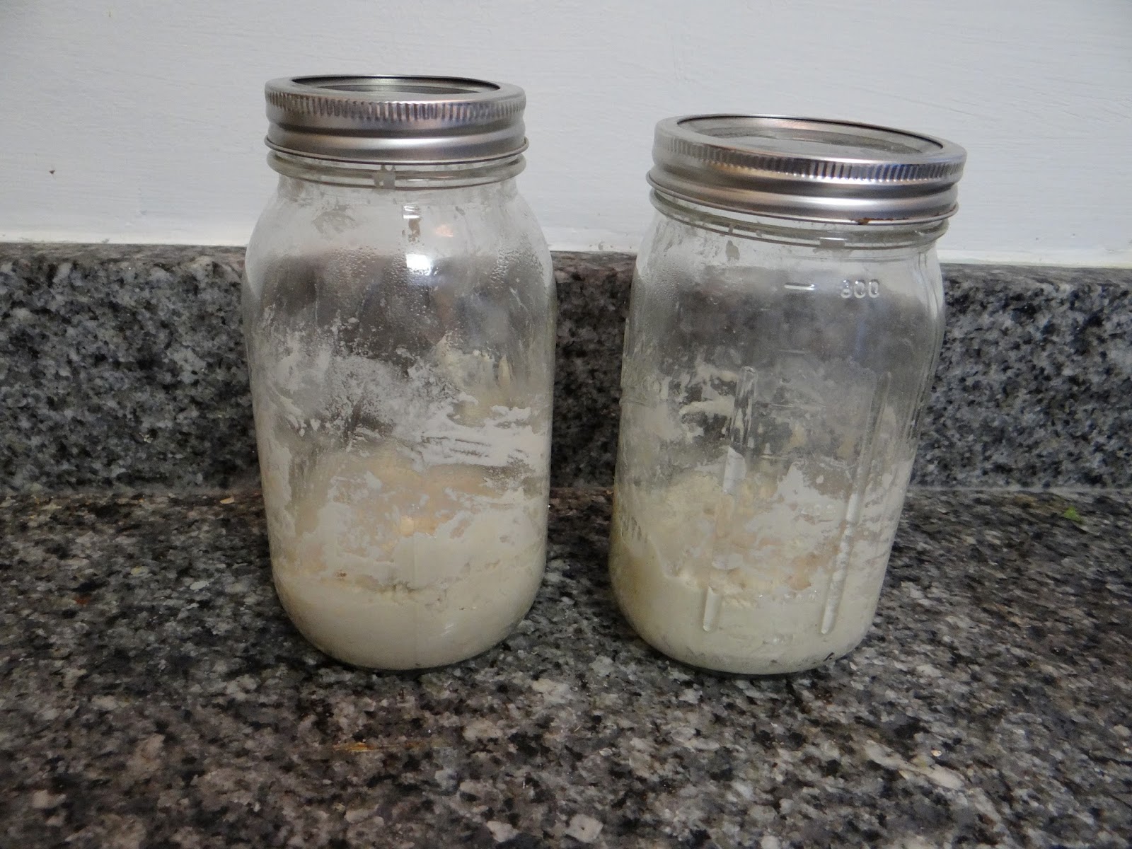 The Bread Maiden The recipe sourdough starter and 123 sourdough