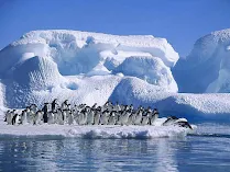 Antártida ou Antártica