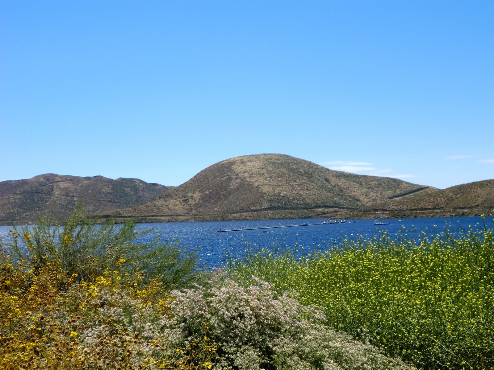 casual participant Diamond Valley Lake, Hemet, Ca June 5 2011