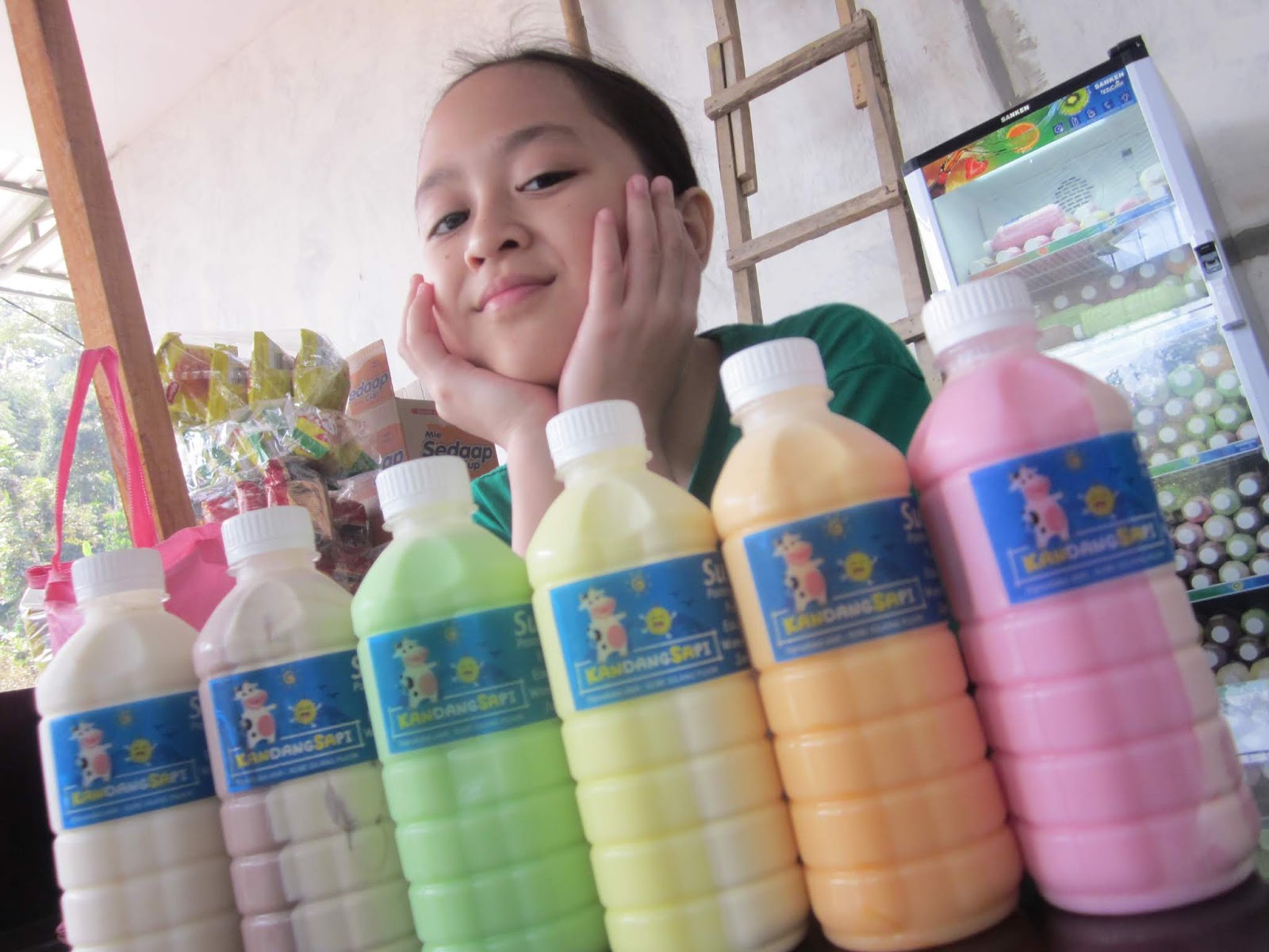 Jombang City Guide Kansa Wisata Edukasi Kandang Sapi Wonosalam