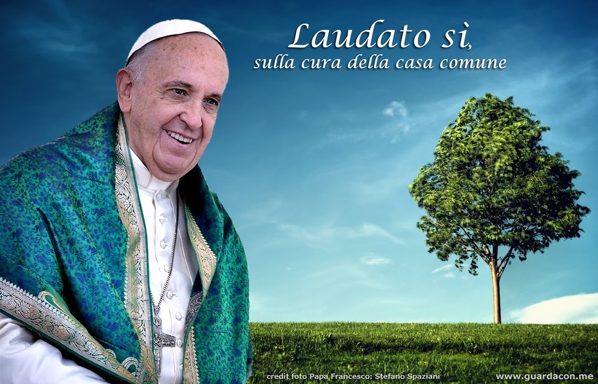 Laudato Si' 5 anos a ecologia integral em tempos de coronavírus e crise climática Laudato Si' 5 anos a ecologia integral em tempos de coronavírus e crise climática