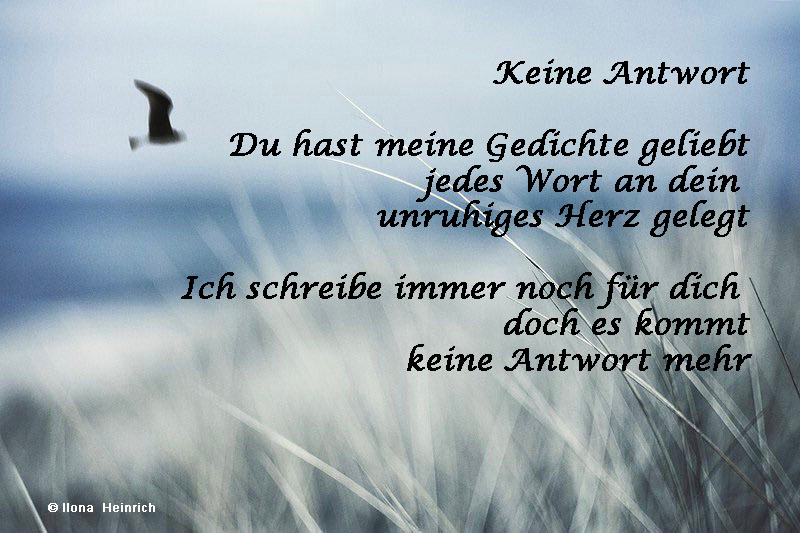 Gerhards Blog Keine Antwort