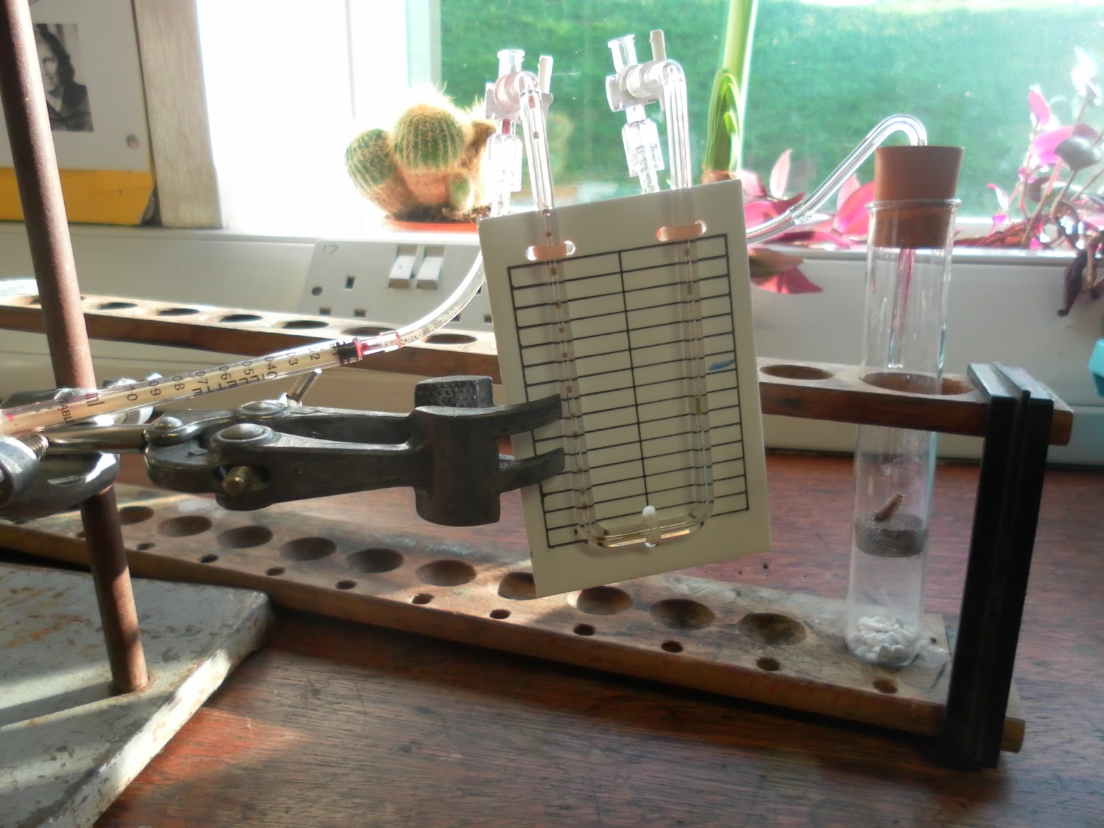 Practical Science Teaching Measuring the rate of respiration using