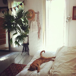 bohemian cozy bedrooms warm moon bedroom plants dreamy boho plant room bed natural floor cat dream greenery urban homes decorating