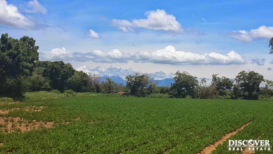 Nicaragua Farms for Sale Nicaragua Land for Sale Farm for sale in