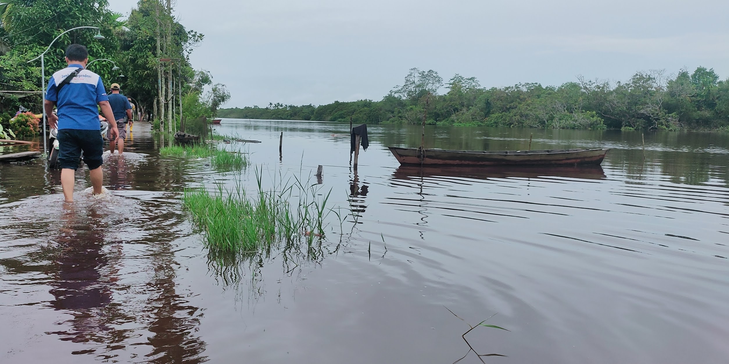 Banjir Sungai Teluk Dawan, Serangan Buaya Mengancam Banjir Sungai Teluk Dawan, Serangan Buaya Mengancam
