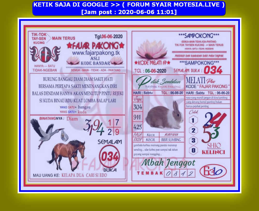 forum syair hk Meloditogel