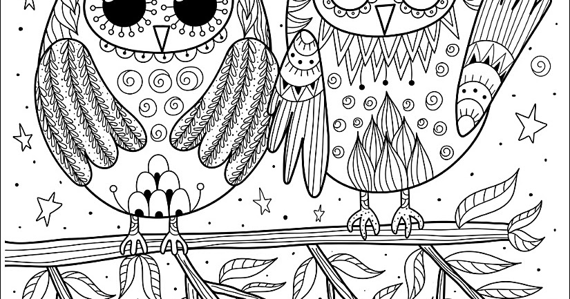 Lustige Eulen des Paares, die auf Zweigvektorbild Mandala ~ Free Mandala