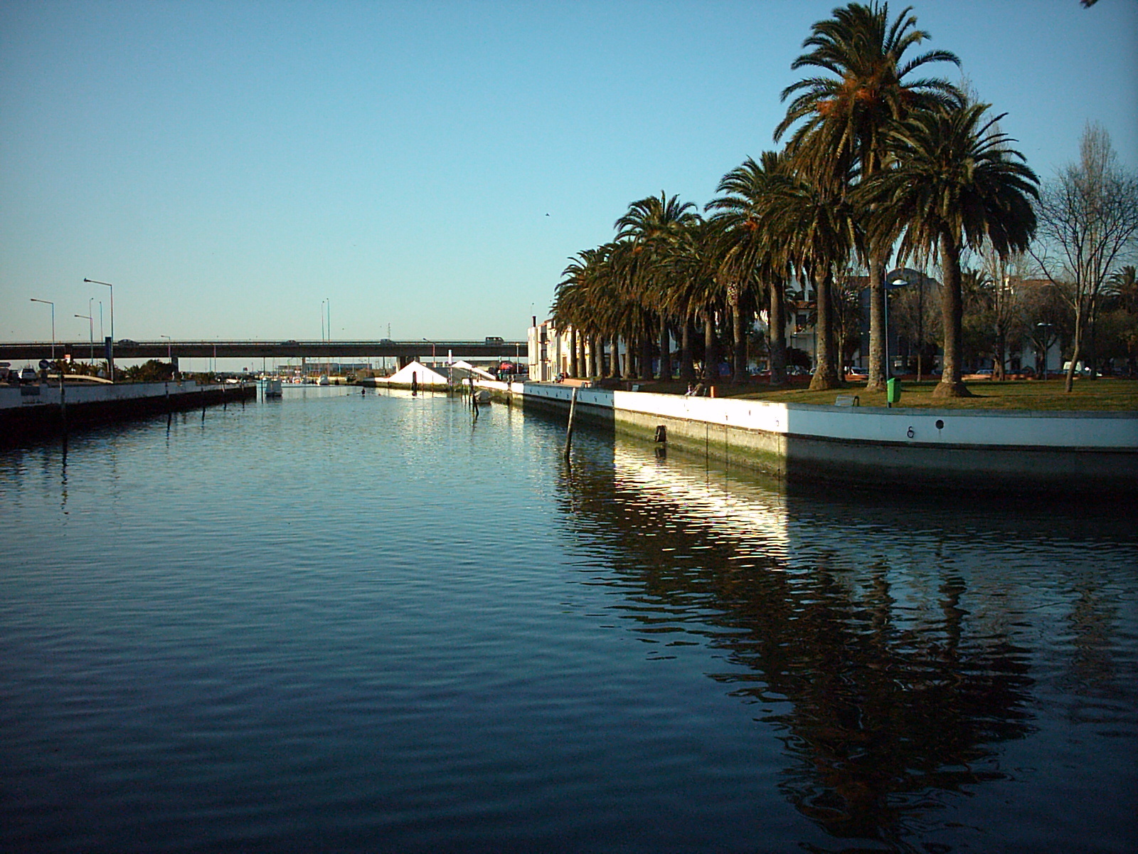 Efem rides Da Ria De Aveiro