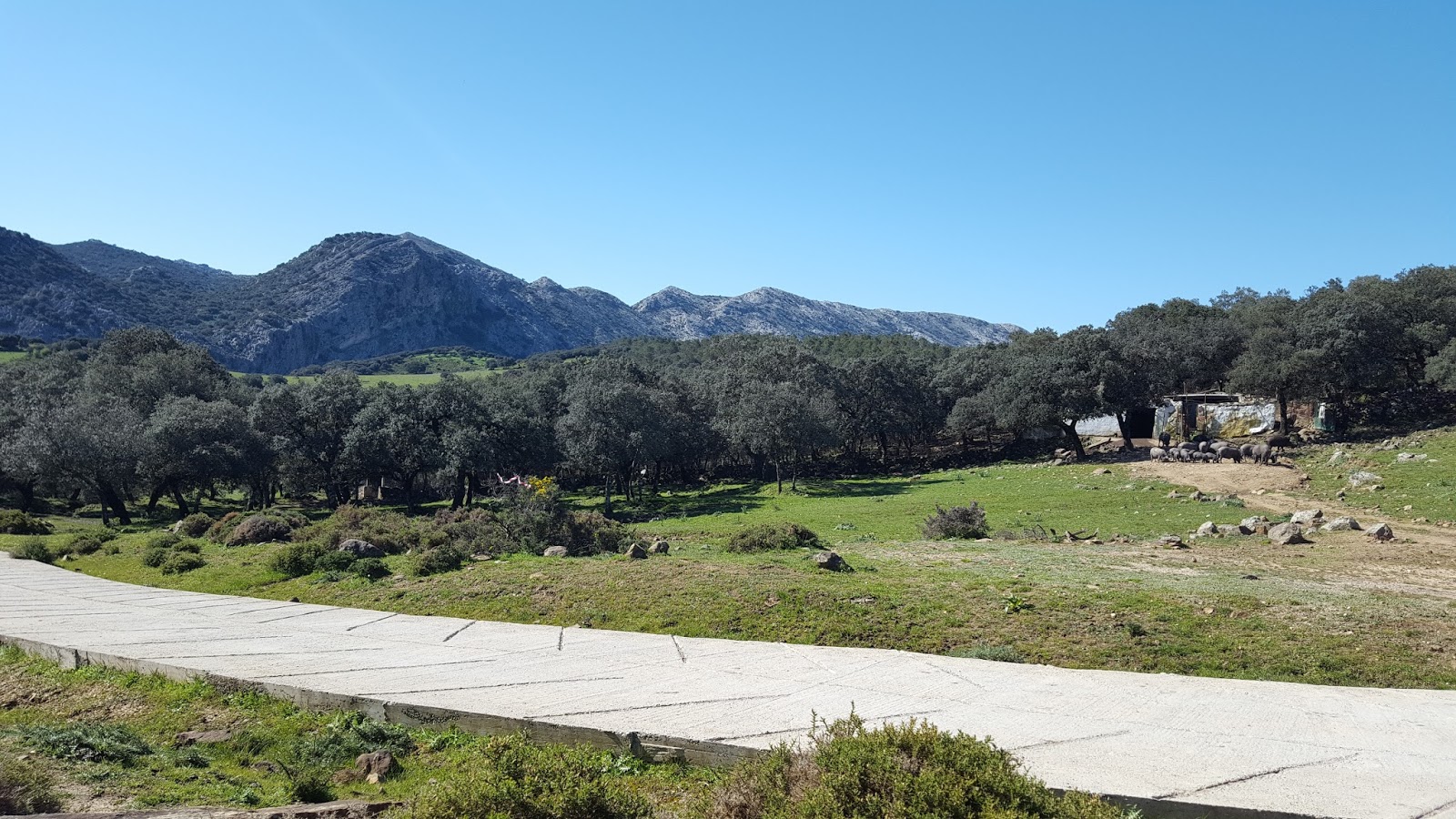 NATURAL GADES Ruta Los Llanos del Republicano.