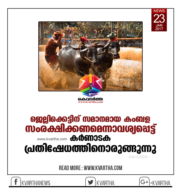 After Jallikattu, 50K Tuluvas gear up to protest for Kambala in Mangaluru . Taking a cue from historic Jallikattu protest put up by people of Tamil Nadu, even people of Coastal Karnataka are gearing up to stage a a protest on similar lines to save Kambala, a traditional sport of coastal belt.