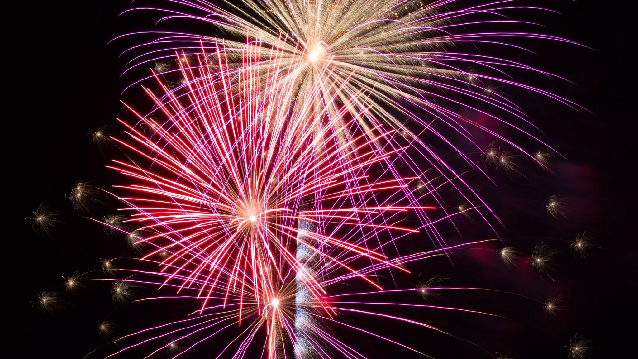 sky flower fireworks hd sky flower fireworks hd
