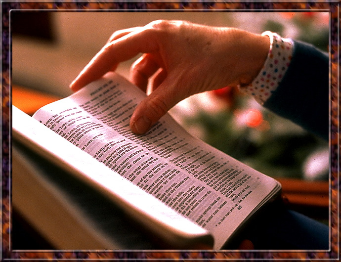 A IMPORTÂNCIA DE LER A BÍBLIA.