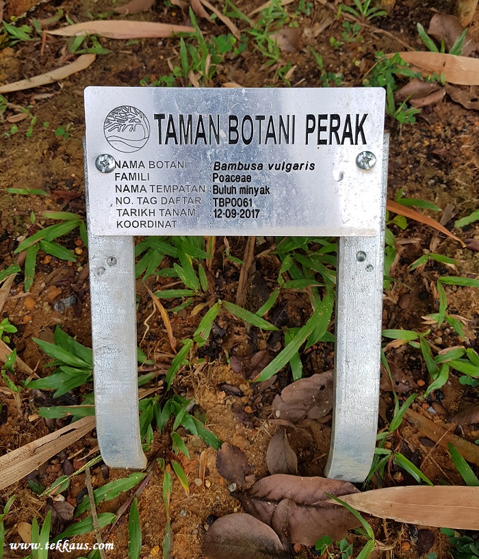 Visiting Taman Botani Perak In Taiping Must Visit