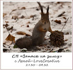 СП "Запасы на зиму" с Леной-Lovecreative с 27.10