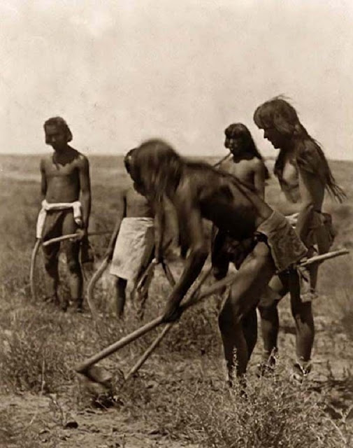 Апачи: охота на змей (фото 1906-1907 года)